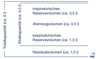 Das Abbildung zeigt die Atemvolumina der Lunge.