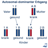 Autosomal-dominanter Erbgang