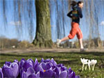 Eine Frau joggt durch eine frühlingshaften Park.