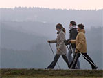 Man sieht drei Menschen bei Nordic Walking.