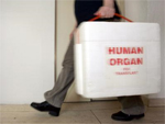 Organspendekoffer