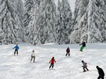 Man sieht eine Skipiste. 
