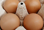 Eier im Karton