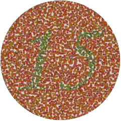 Das Bild zeigt eine Farbtafel zur Diagnose einer Gr�nblindheit