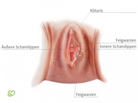 Der Wert der Lichtbehandlung von den Pigmentflecken