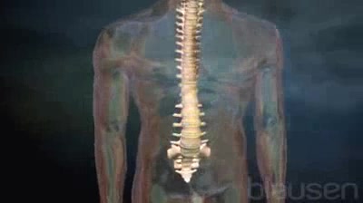 Dopplerografiya du service cervical que cela