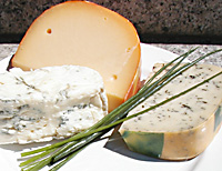K�se auf Teller