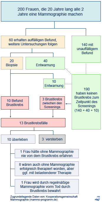 Flowchart zum Mammographie-Screening