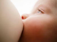 Baby trinkt an Mutterbrust