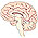 Meningitis