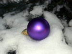 Das Bild zeigt einen Nadelbaumzweig mit Schnee und einer Christbaumkugel. 