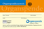 Man sieht einen Organspendeausweis.