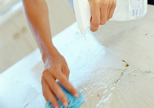 Das Bild zeigt H�nde mit Haushaltsreiniger und Lappen.