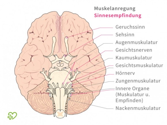 Die Laserabtragung der Pigmentflecke auf der Person in ufe