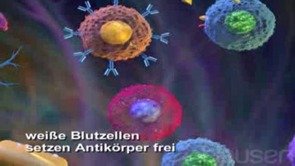 Die Mittel, damit das Haar waren gehorsam