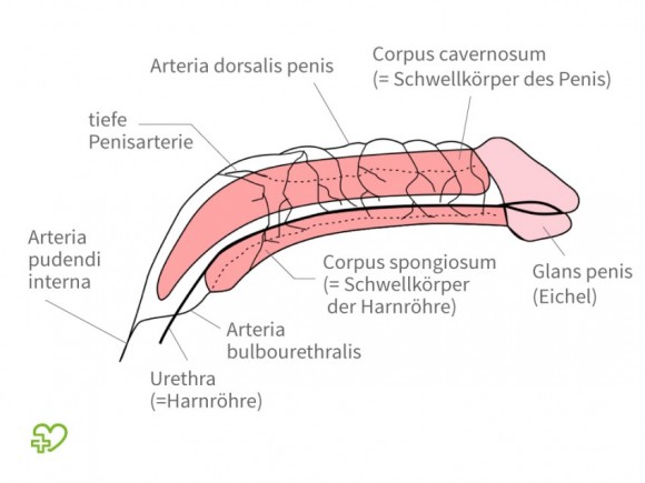 Gribok die Füsse die Symptome vom Foto