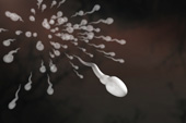 Das Bild zeigt eine Illustration von Spermien. 