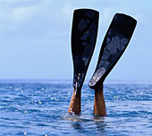 Man sieht die Schwimmflossen eines Tauchers.