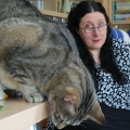 �Katzen