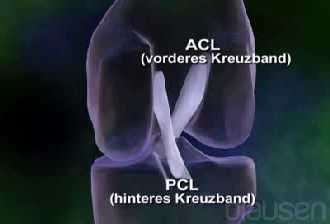 Leid der Sportler