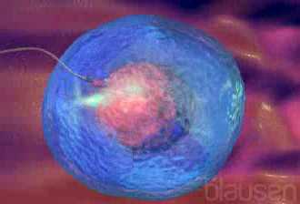 Betrifft M�nner und Frauen