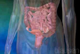 �C�mo se produce? �Qu� consecuencias tiene?
