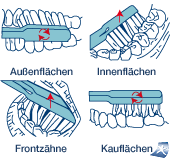 Rotationstechnik beim Z&auml;hneputzen