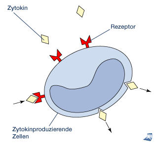 zytokin
