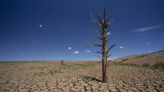 Eine ausgetrocknete Landschaft: Bei einer Dehydration ist der Wasserhaushalt des Körpers gestört.
