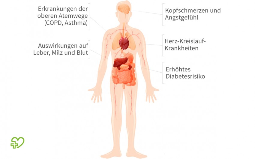 Luftverschmutzung kann ernsthafte Folgen für die menschliche Gesundheit haben.