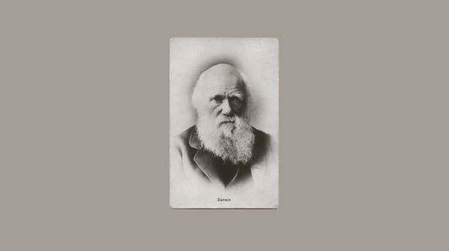 Charles Darwin - Onmeda.de