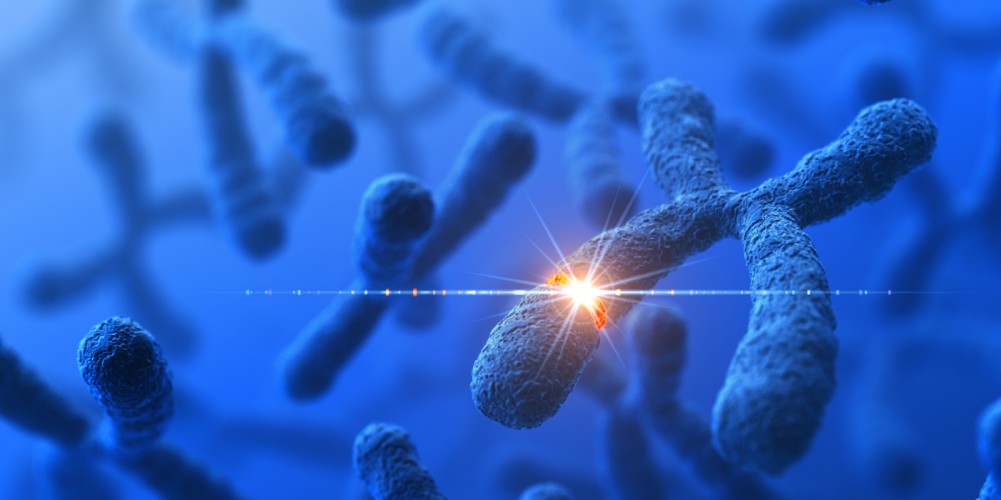Man sieht stilisierte Chromosomen mit einer durch einen leuchtenden Punkt dargestellten genetischen Veränderung.