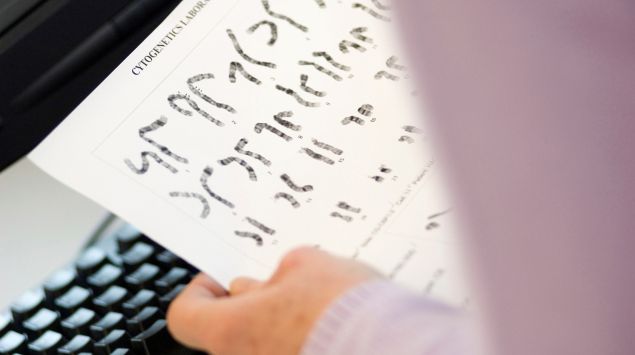 Ein Arzt betrachtet eine Chromosomenanalyse.