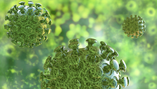 Man sieht eine Illustration mehrerer Coronaviren.