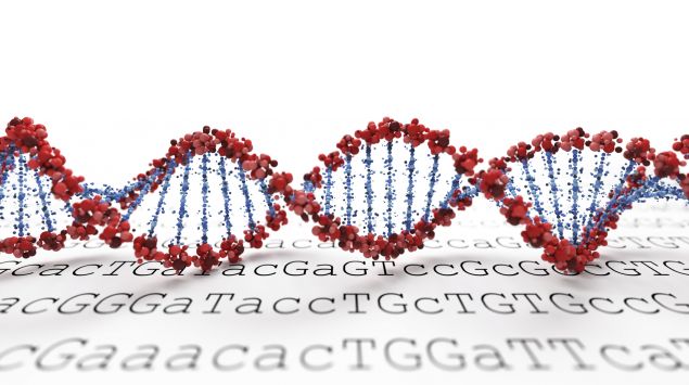 Das Modell einer DNA-Doppelhelix liegt auf einem Ausdruck der Ausschnitte eines genetischen Codes zeigt.