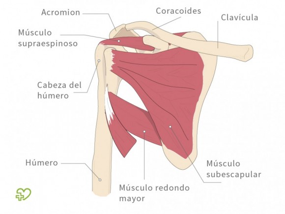 tendinitis supraespinoso código icd 10 para diabetes