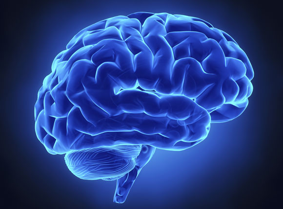 Está sangrando en el cerebro fatal