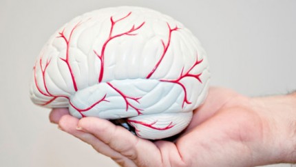 Medico internista que enfermedades trata