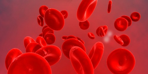 Cual es la cantidad normal de eritrocitos en la sangre