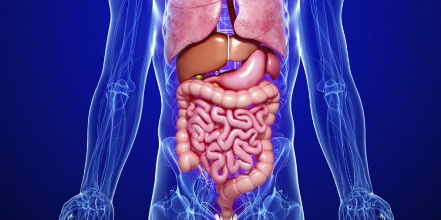 Diverticulitis como mejorar la