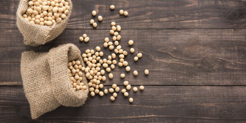 De efectos lecitina secundarios soya de la