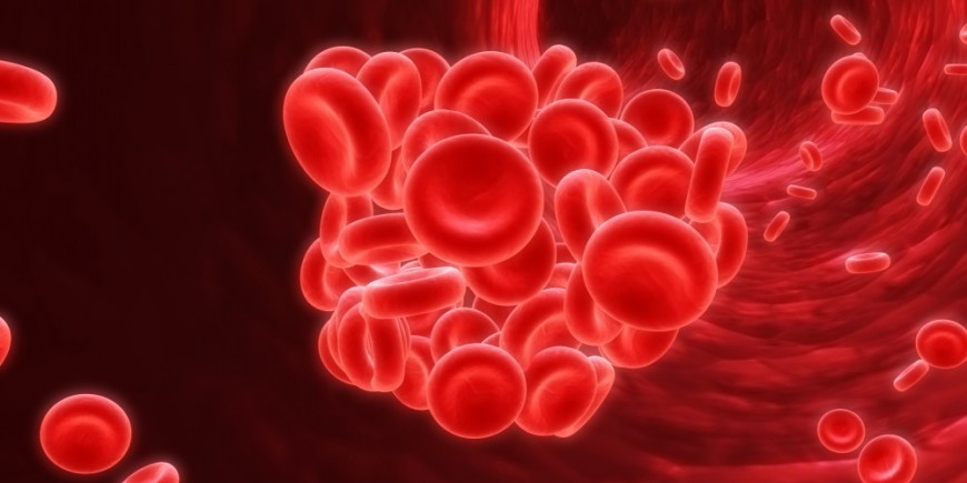 El embarazo embolia pulmonar durante