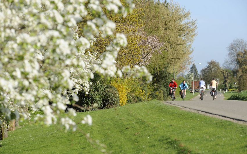 Frühjahrsmüdigkeit: Man sieht Radfahrer in frühlingshafter Umgebung.