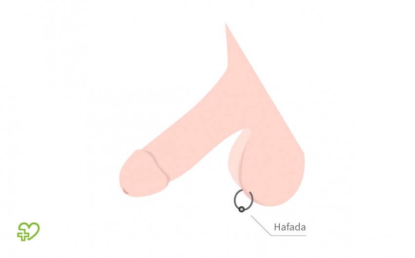 Grafische Darstellung: Hafada-Piercing