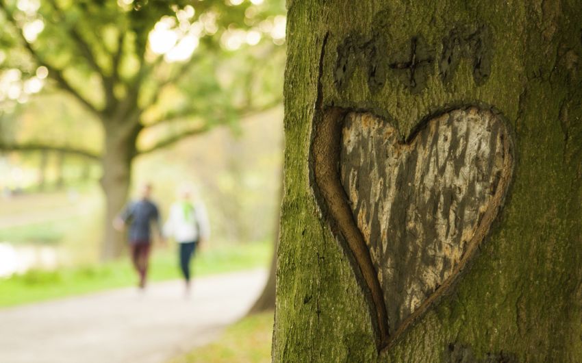 Frühlingsgefühle: Man sieht ein Herz, das in einen Baum geritzt wurde und im Hintergrund ein spazierendes Pärchen.