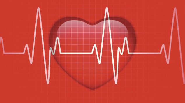 Man sieht ein Herz hinter einer EKG-Kurve.