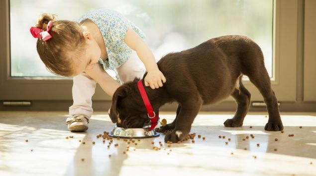 Hund Katze Maus Welches Haustier Ist Für Kinder Geeignet