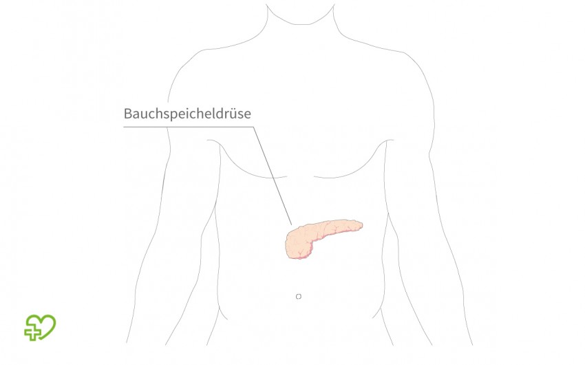 Lage der Bauchspeicheldrüse