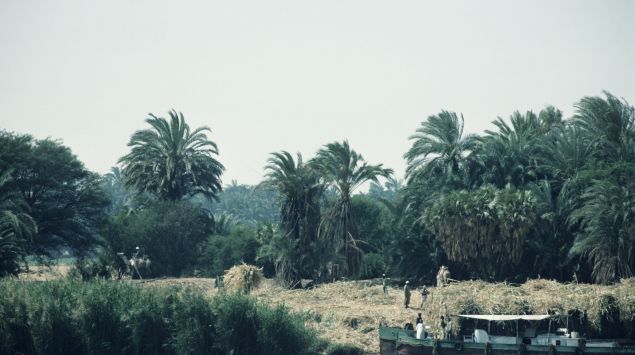 Man sieht einen Fluss in Afrika.