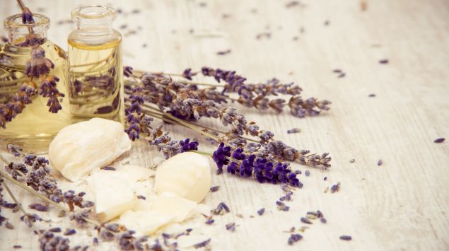 Man sieht Fläschen mit Öl und frischen Lavendel.